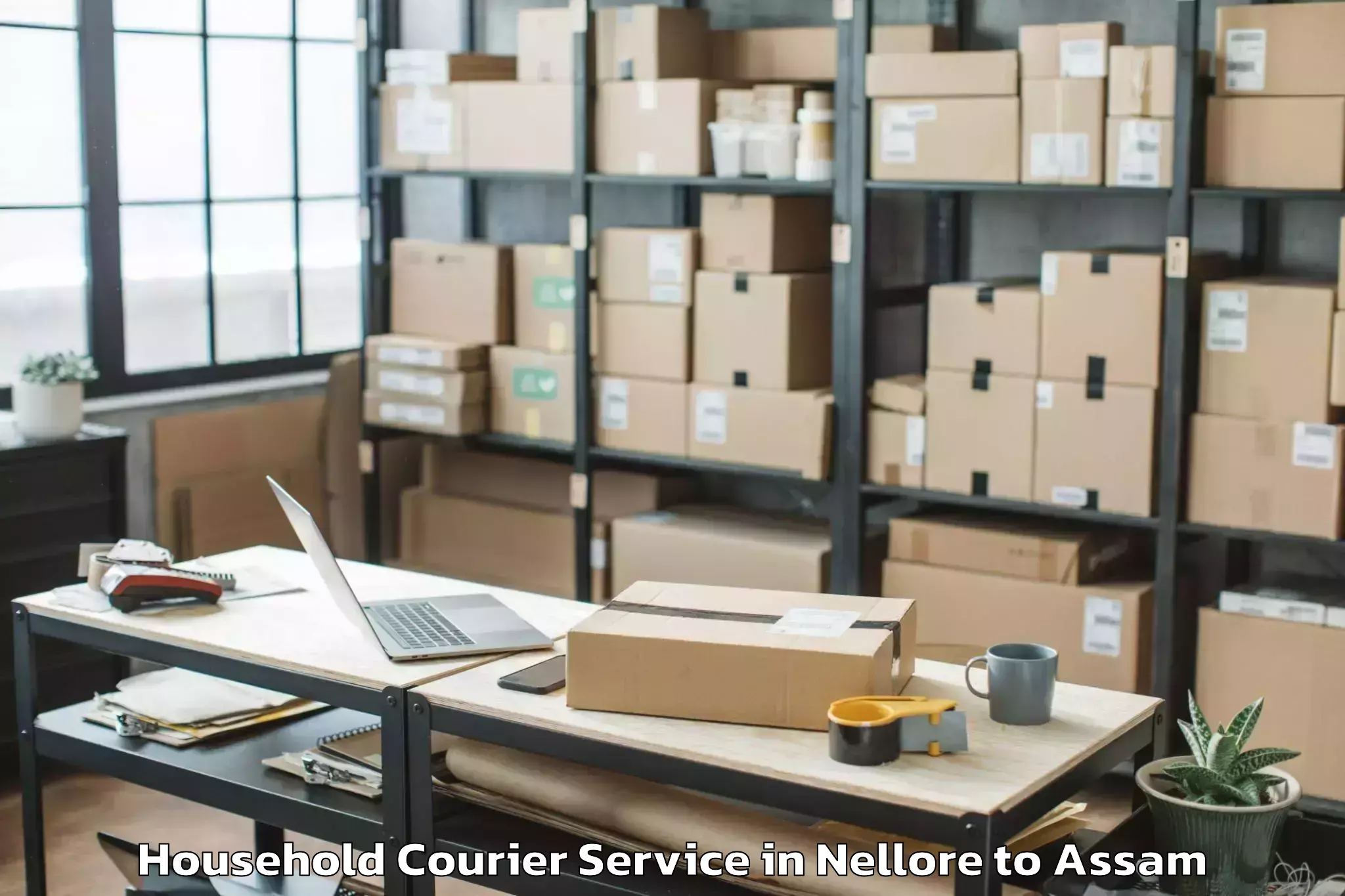 Top Nellore to Numaligarh Household Courier Available